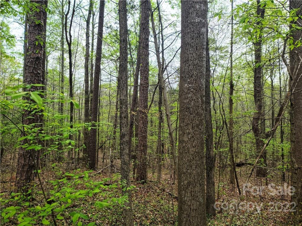 0 Old Concord Road China Grove, NC 28023 - Photo 10 of 16 Gallery Image 10