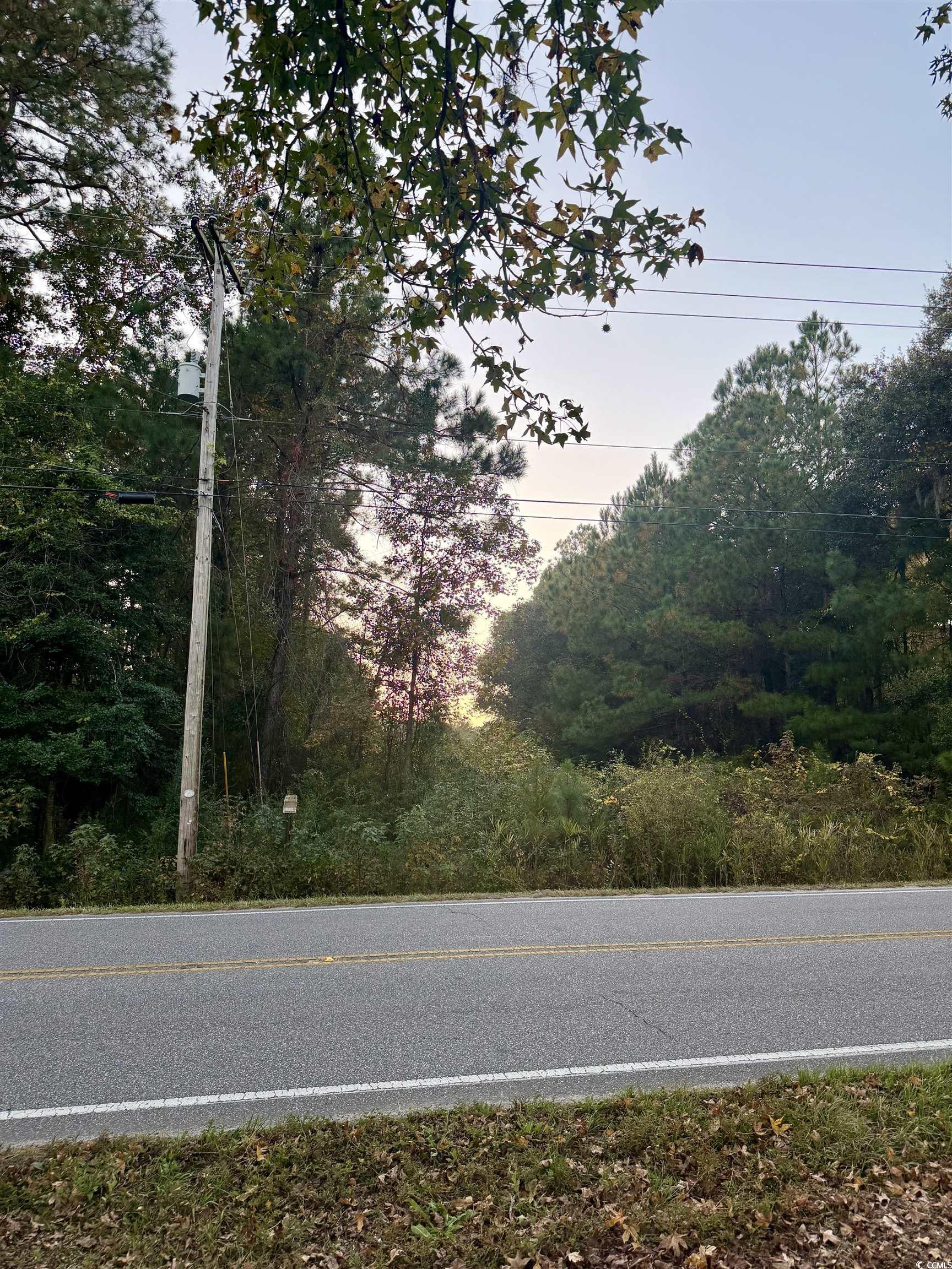 View of asphalt road featuring view of wooded area
