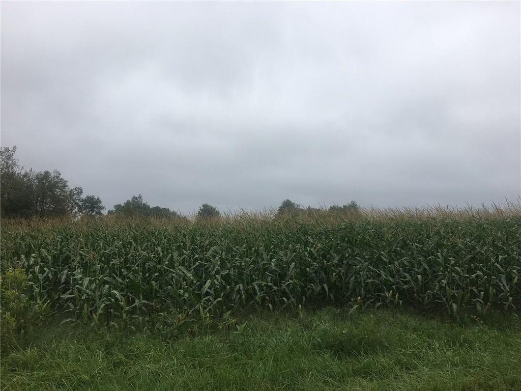Lot 5-6 Buckley Road Mercer, PA 16137 - Photo 1 of 1 4.58 Acres of Tillable Field