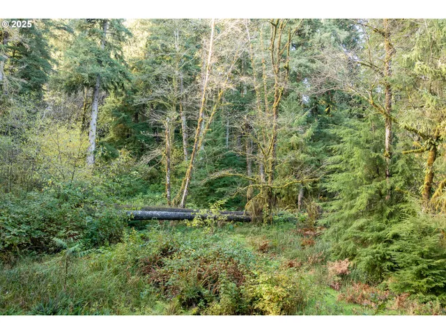 $230,000 | Katherine Lane, Nehalem, OR 97131