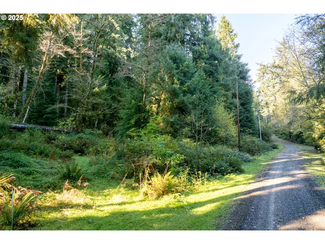 $230,000 | Katherine Lane, Nehalem, OR 97131