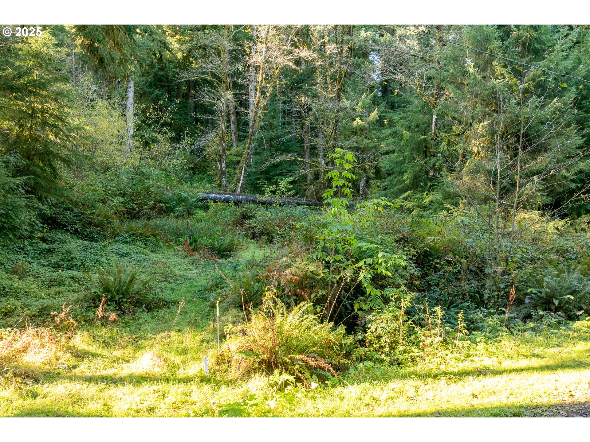 Katherine Lane Nehalem, OR 97131 - Photo 5 of 13 a view of a yard
