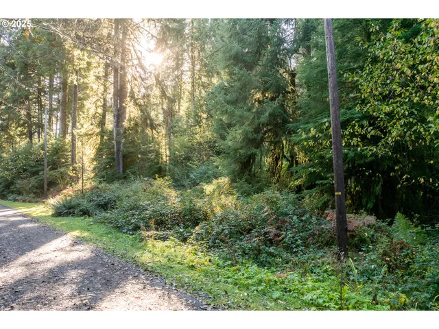 $230,000 | Katherine Lane, Nehalem, OR 97131