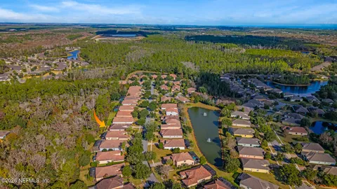 a view of a yard with plants and large trees