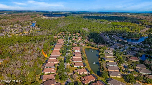 a view of a yard with plants and large trees