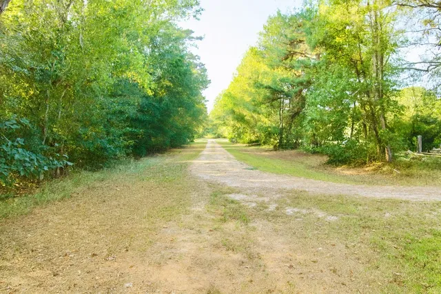 a view of a yard with a tree