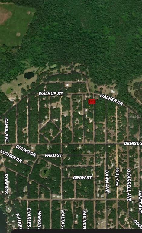 34 Lenore Avenue Interlachen, FL 32148 - Photo 5 of 5