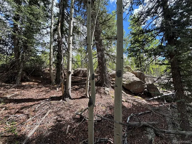 a view of a backyard of the house