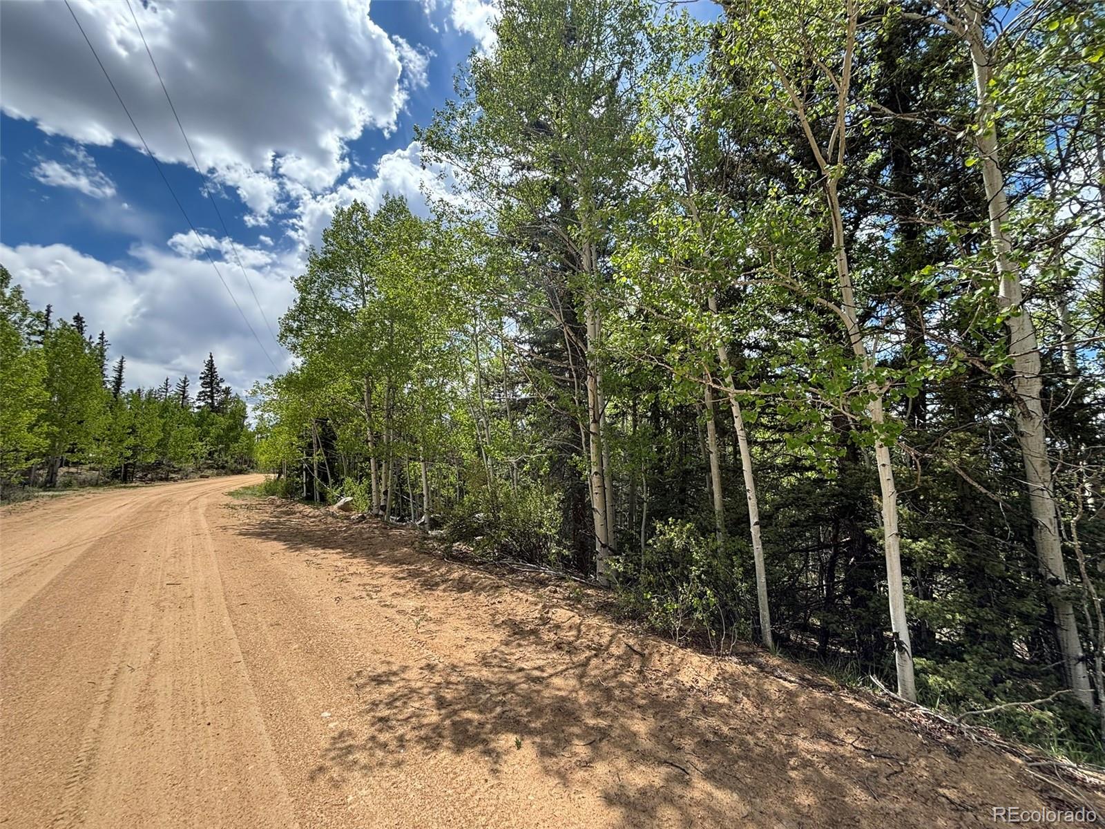 113 Ithaca Lane Como, CO 80456 - Photo 13 of 21 a view of a yard with trees in the background