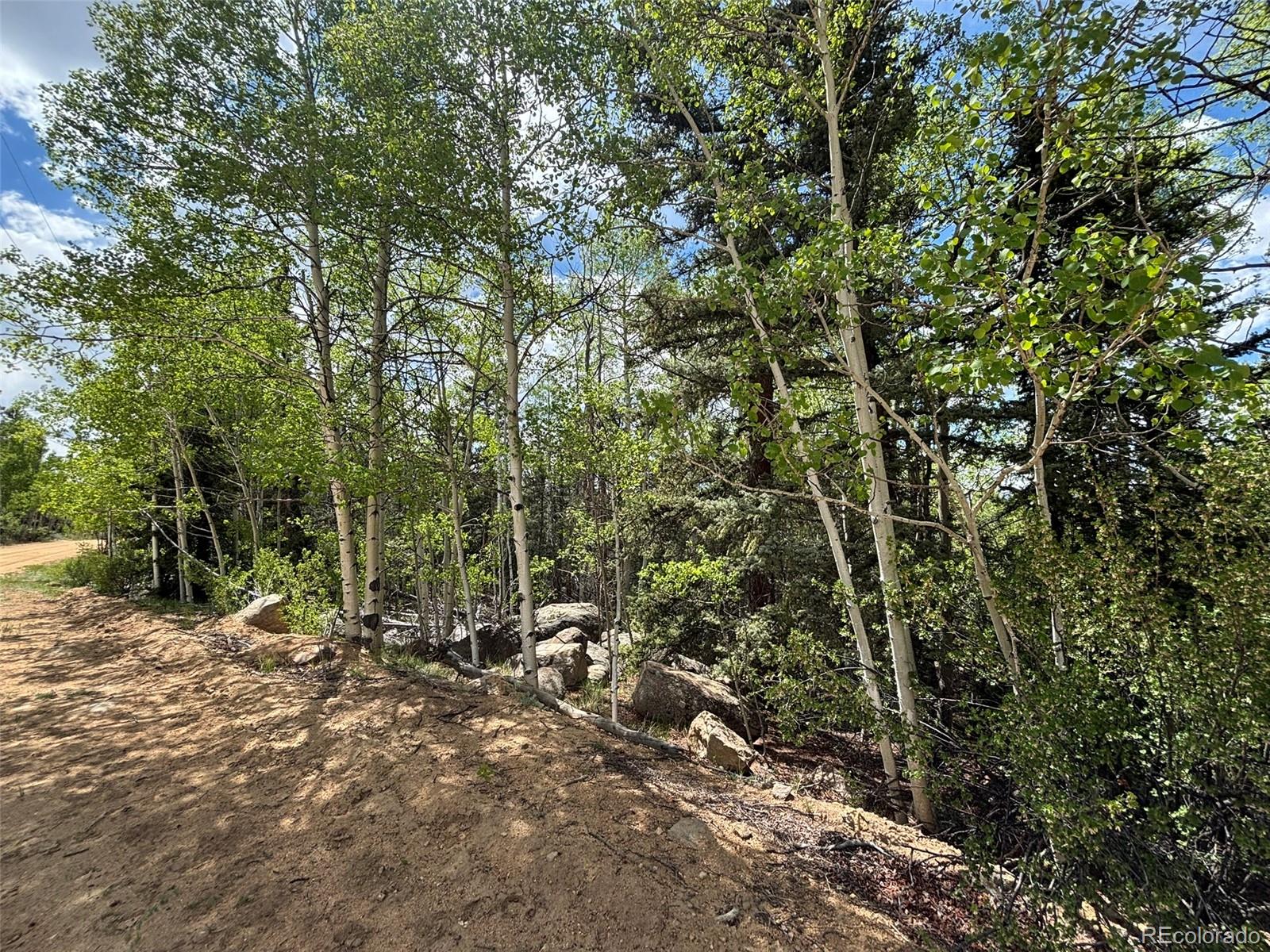 113 Ithaca Lane Como, CO 80456 - Photo 14 of 21 a view of forest