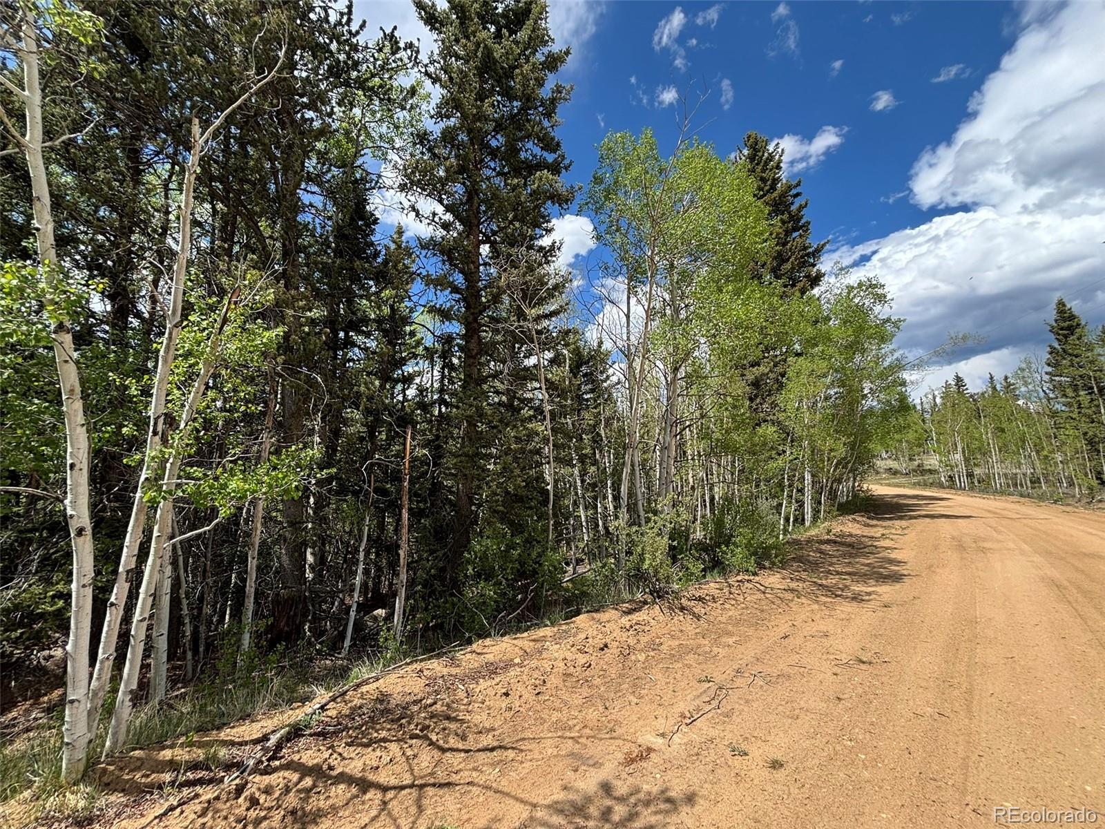 113 Ithaca Lane Como, CO 80456 - Photo 15 of 21 a view of a backyard of the house