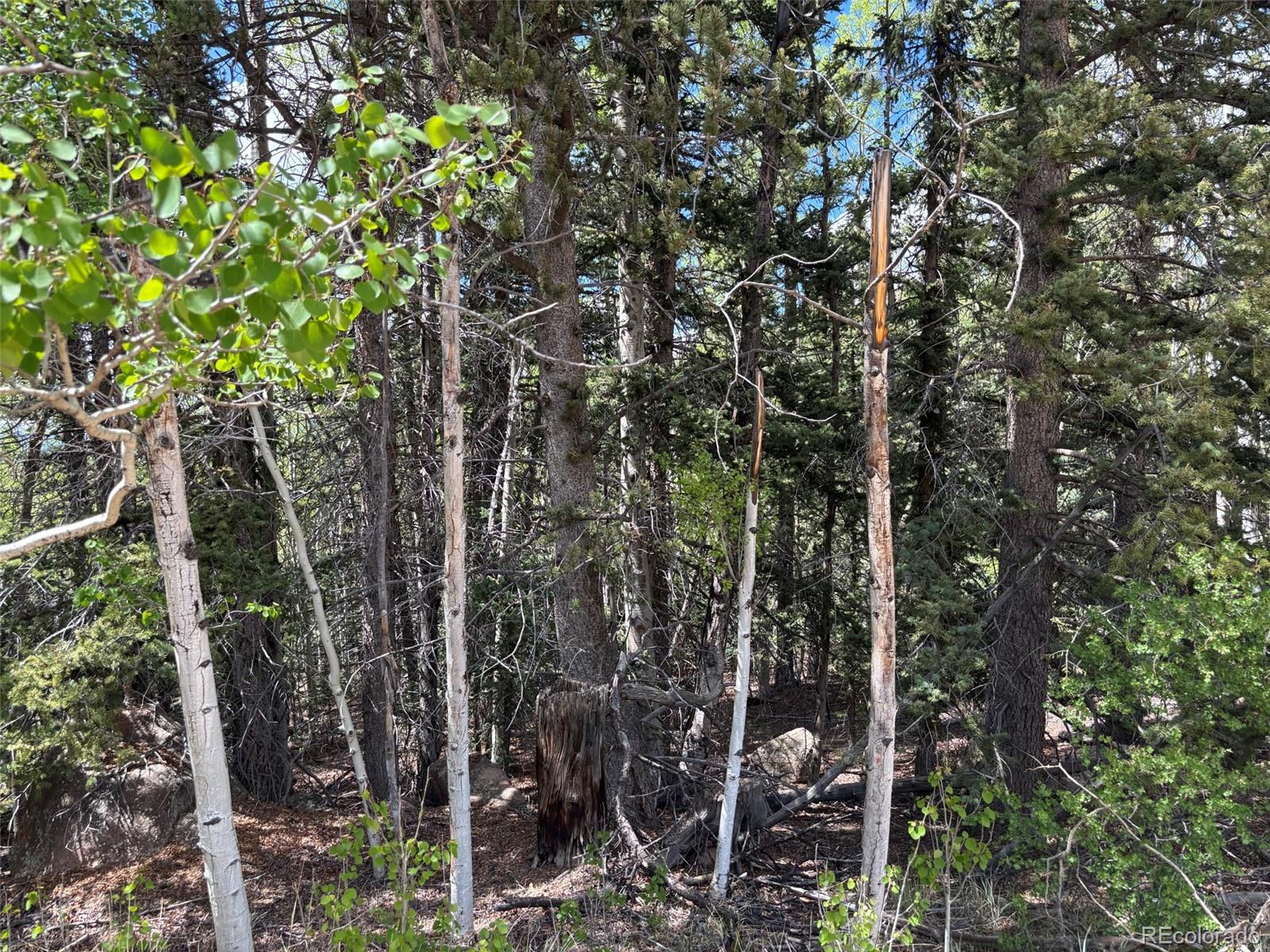 113 Ithaca Lane Como, CO 80456 - Photo 16 of 21