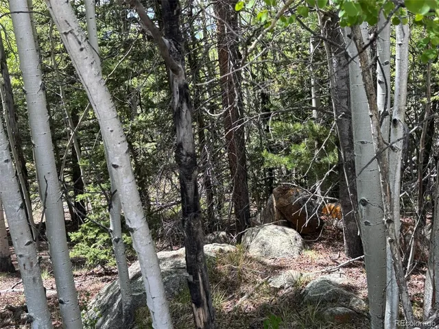 $38,900 | 113 Ithaca Lane, Como, CO 80456