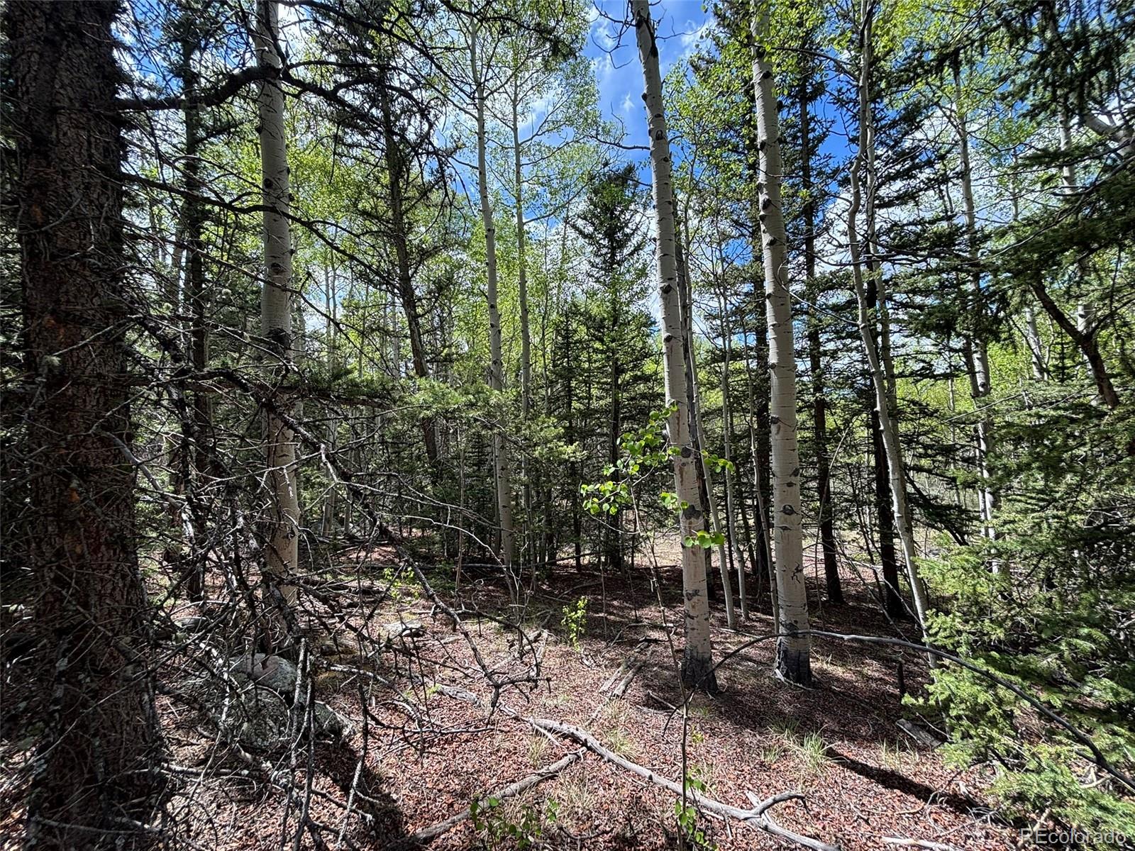 113 Ithaca Lane Como, CO 80456 - Photo 20 of 21 a view of outdoor space and yard