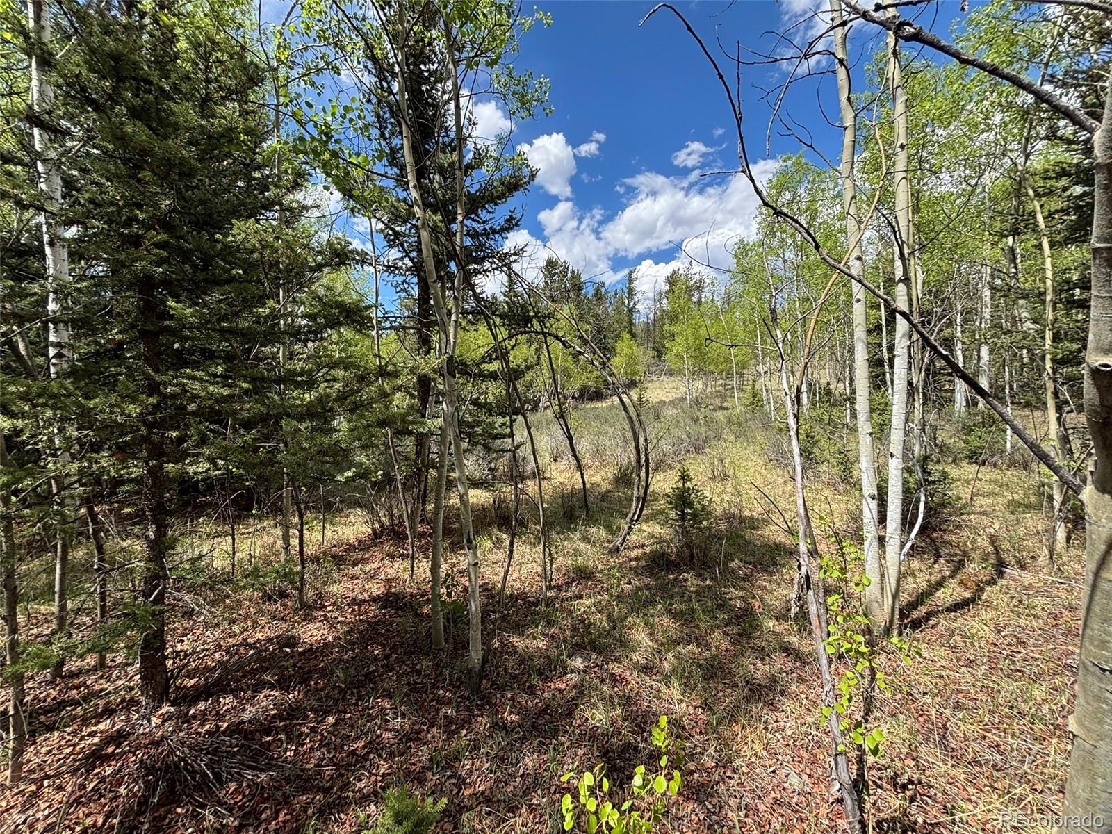 113 Ithaca Lane Como, CO 80456 - Photo 4 of 21