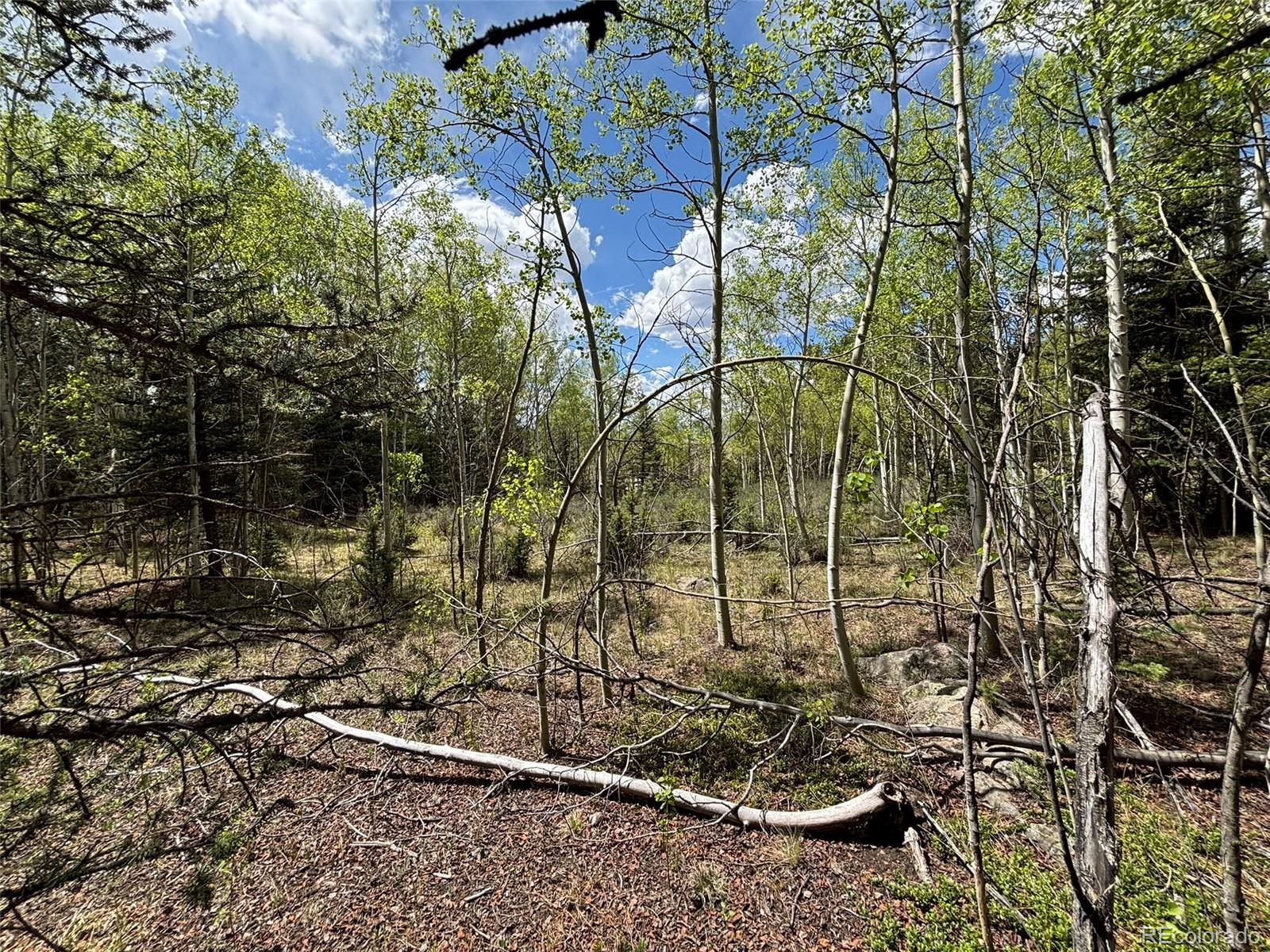 113 Ithaca Lane Como, CO 80456 - Photo 8 of 21 a view of a backyard