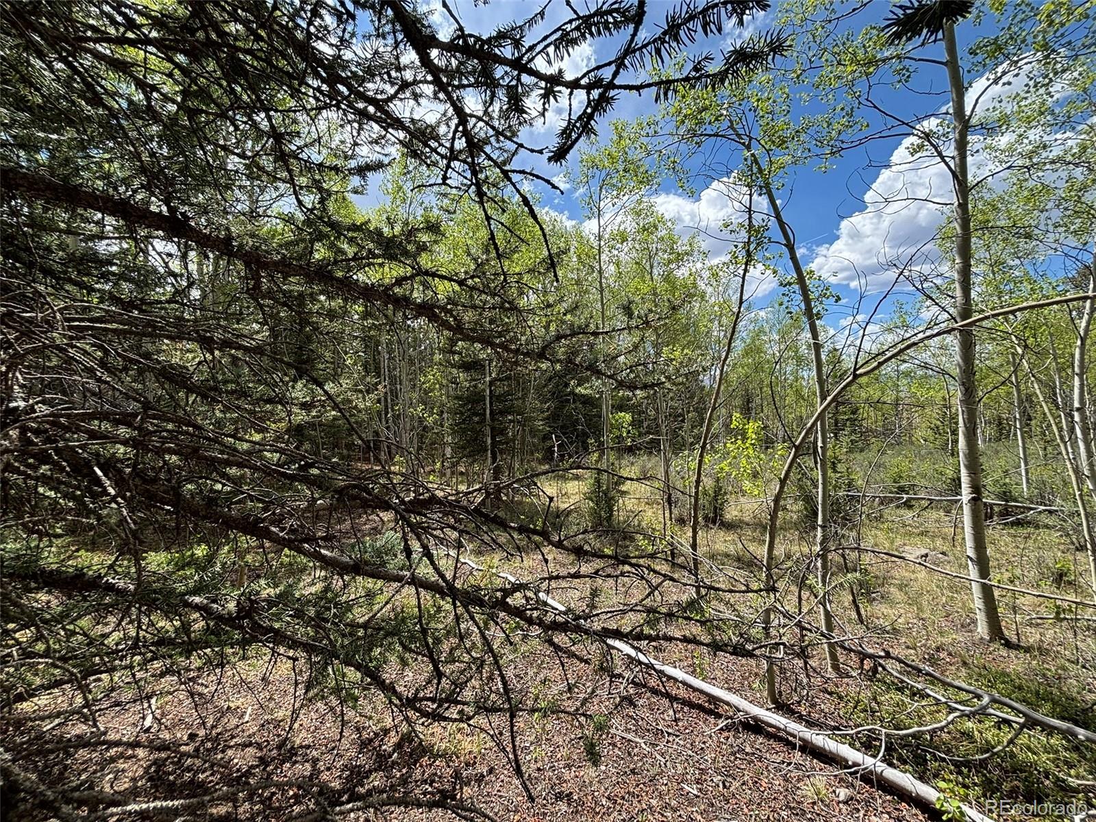 113 Ithaca Lane Como, CO 80456 - Photo 9 of 21