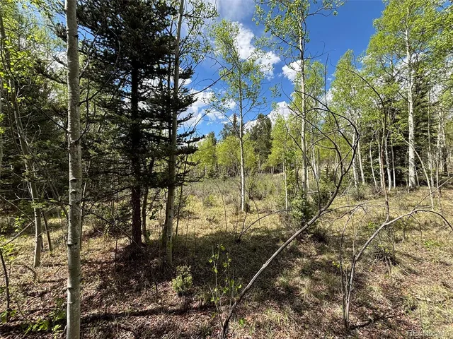 a view of a yard with trees in the background