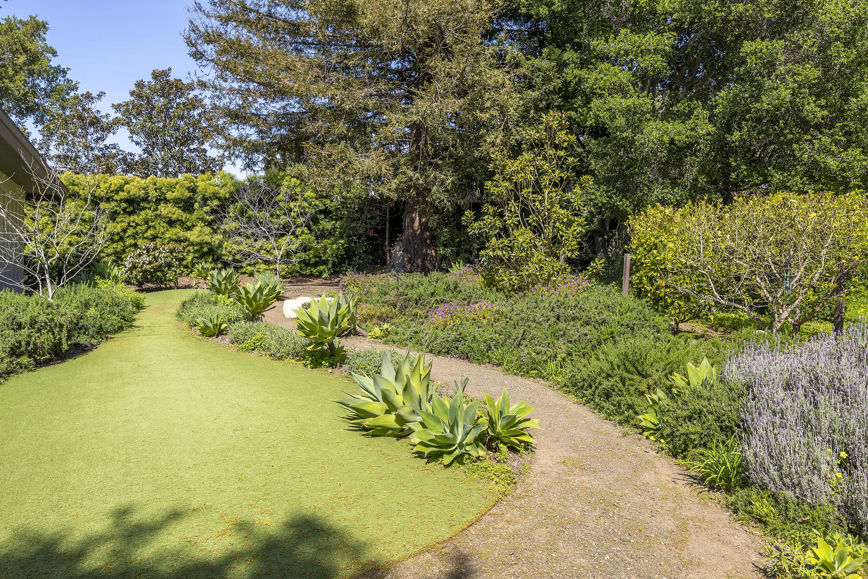 1410 School House Road Montecito, CA 93108 - Photo 7 of 21 Backyard