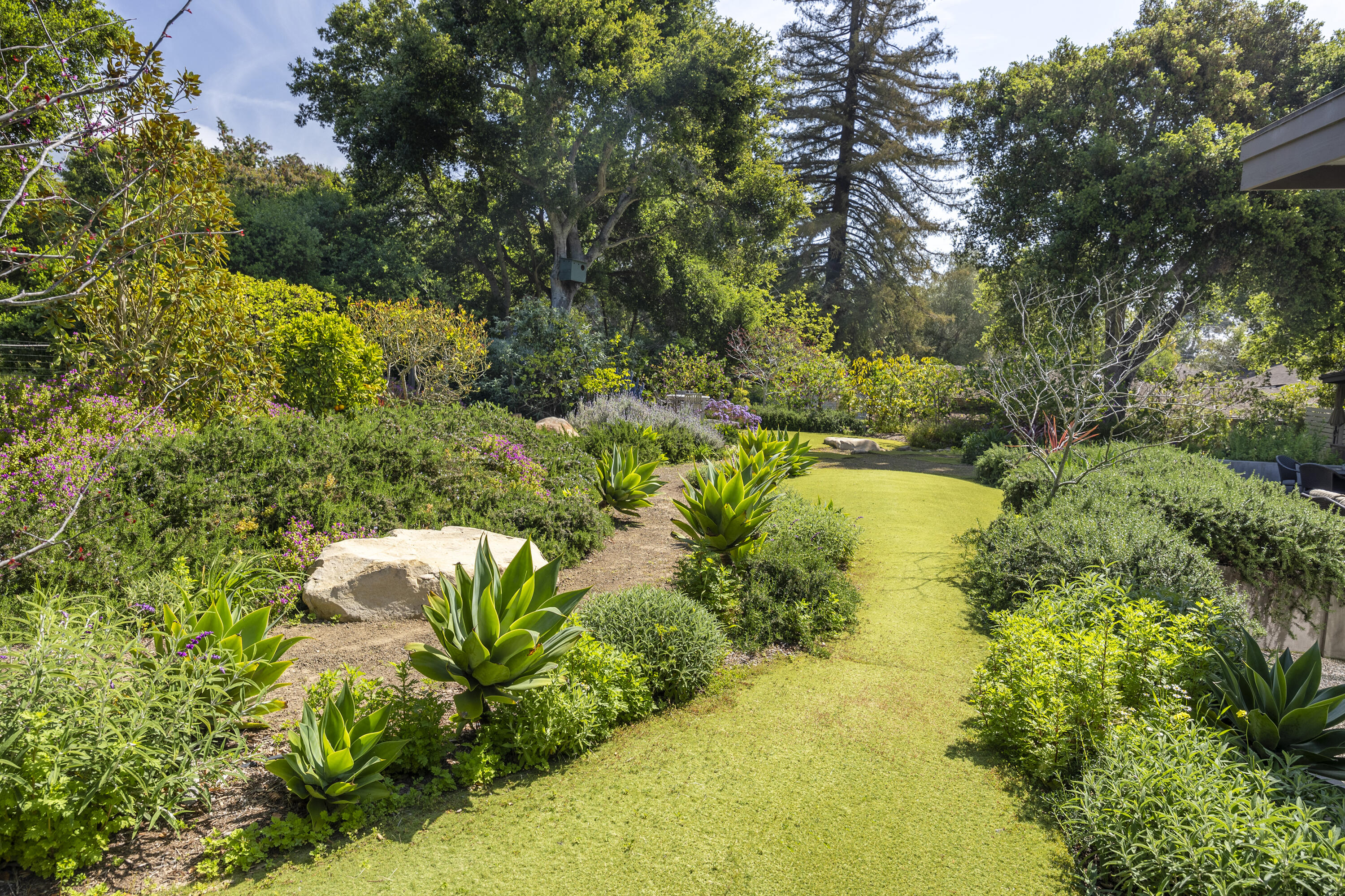 1410 School House Road Montecito, CA 93108 - Photo 8 of 21 Backyard