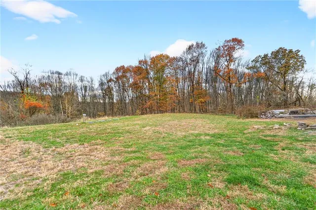 a view of yard with trees