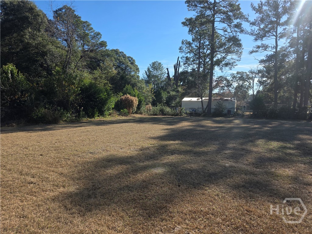 407 West 9th Street Rincon, GA 31326 - Photo 19 of 19