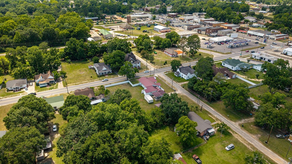 101 South Johnson Street Samson, AL 36477 - Photo 50 of 53