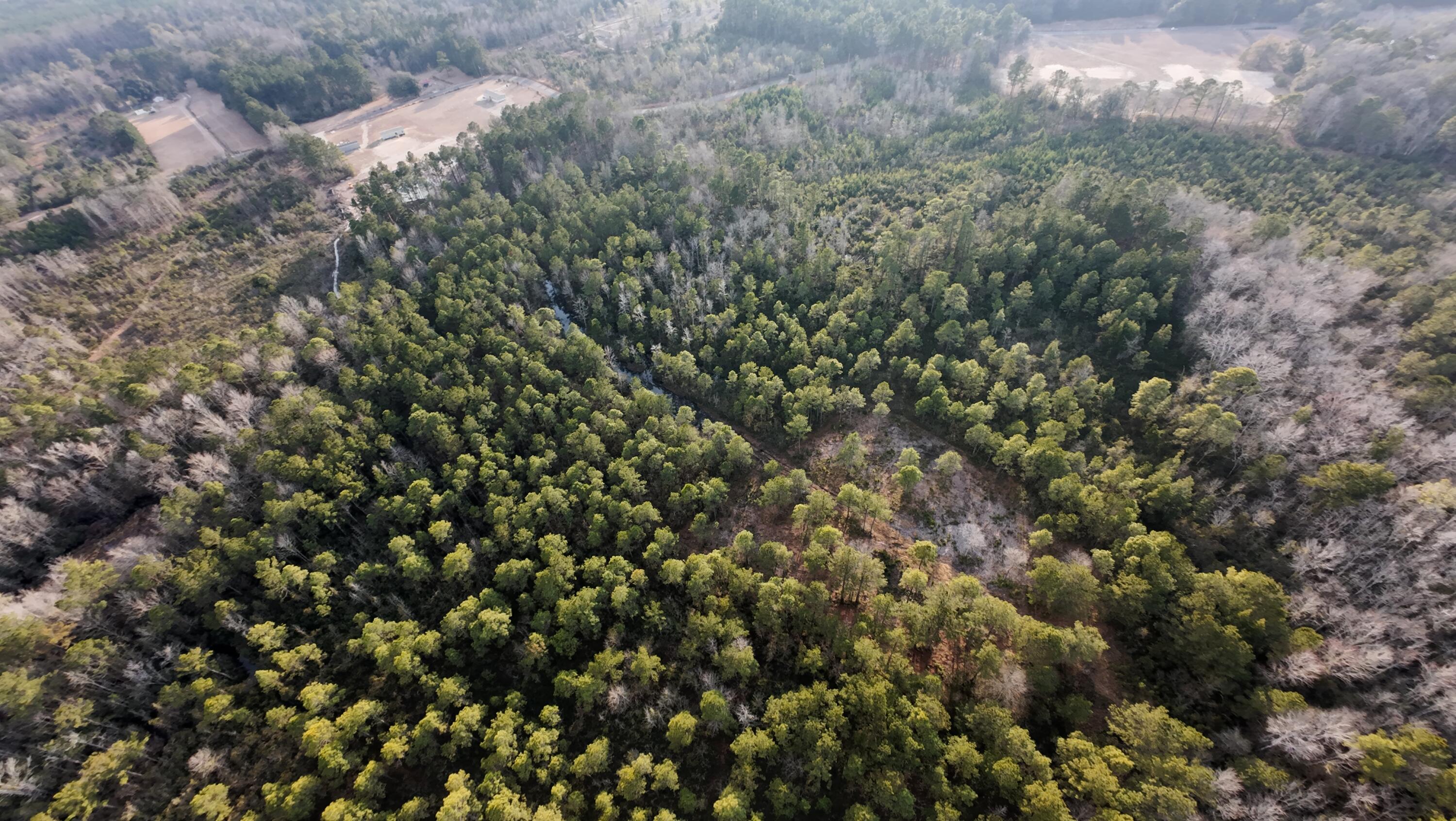 0 Thomas Road Dorchester, SC 29437 - Photo 3 of 6 dji_fly_20260210_170550_0039_17707599942