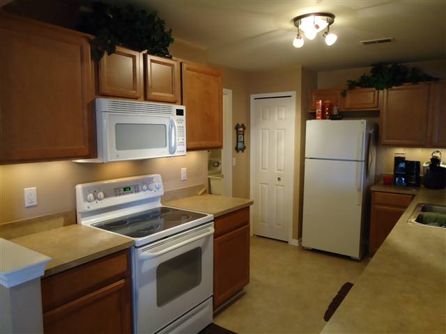 31075259-1.JPG