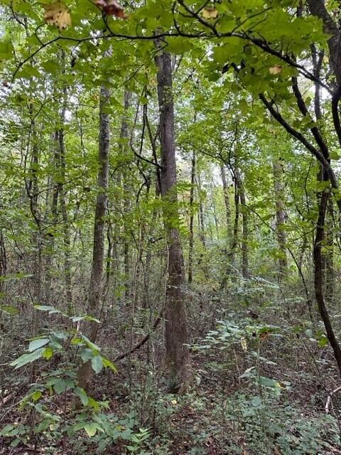 22.5 Webster Road Whitwell, TN 37397 - Photo 1 of 6 Webster Road 5