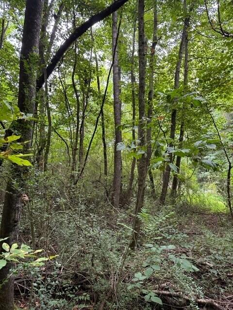 22.5 Webster Road Whitwell, TN 37397 - Photo 5 of 6 Webster Road 6