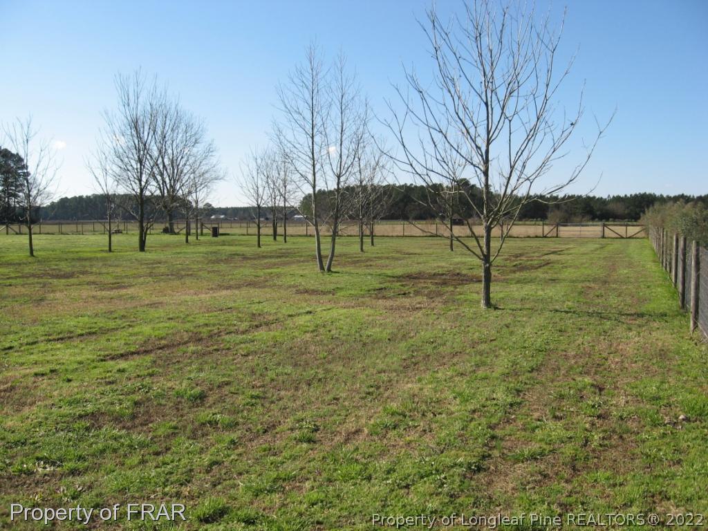 185 Libbie Road Autryville, NC 28318 - Photo 28 of 32 Gallery Image 28