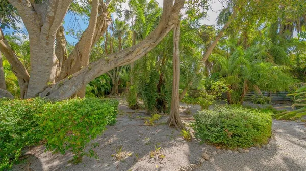a view of a garden with large trees