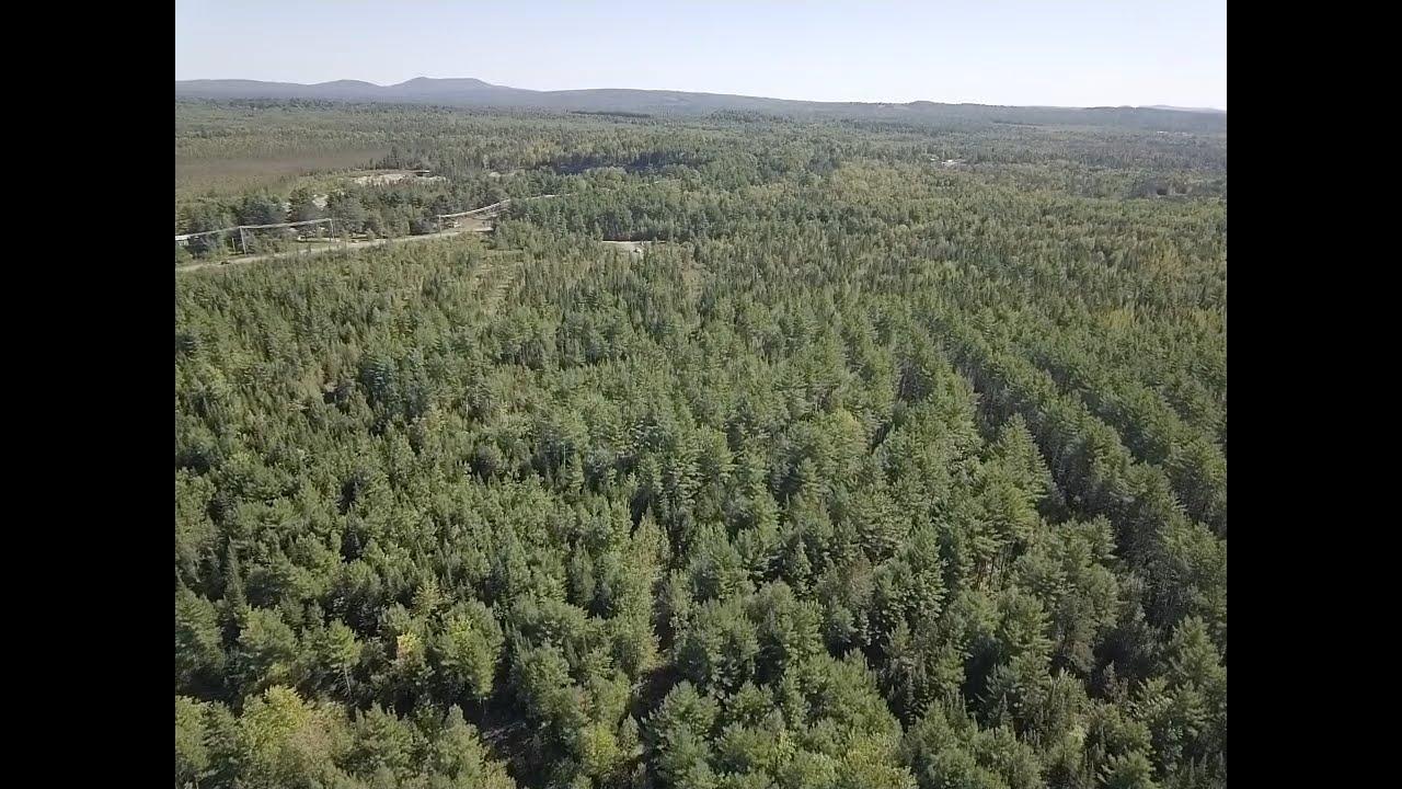 Off Greenfield Road Greenbush, ME 04418 - Photo 10 of 17 screen_0c0ad7d2dc3239b4_1568384786317