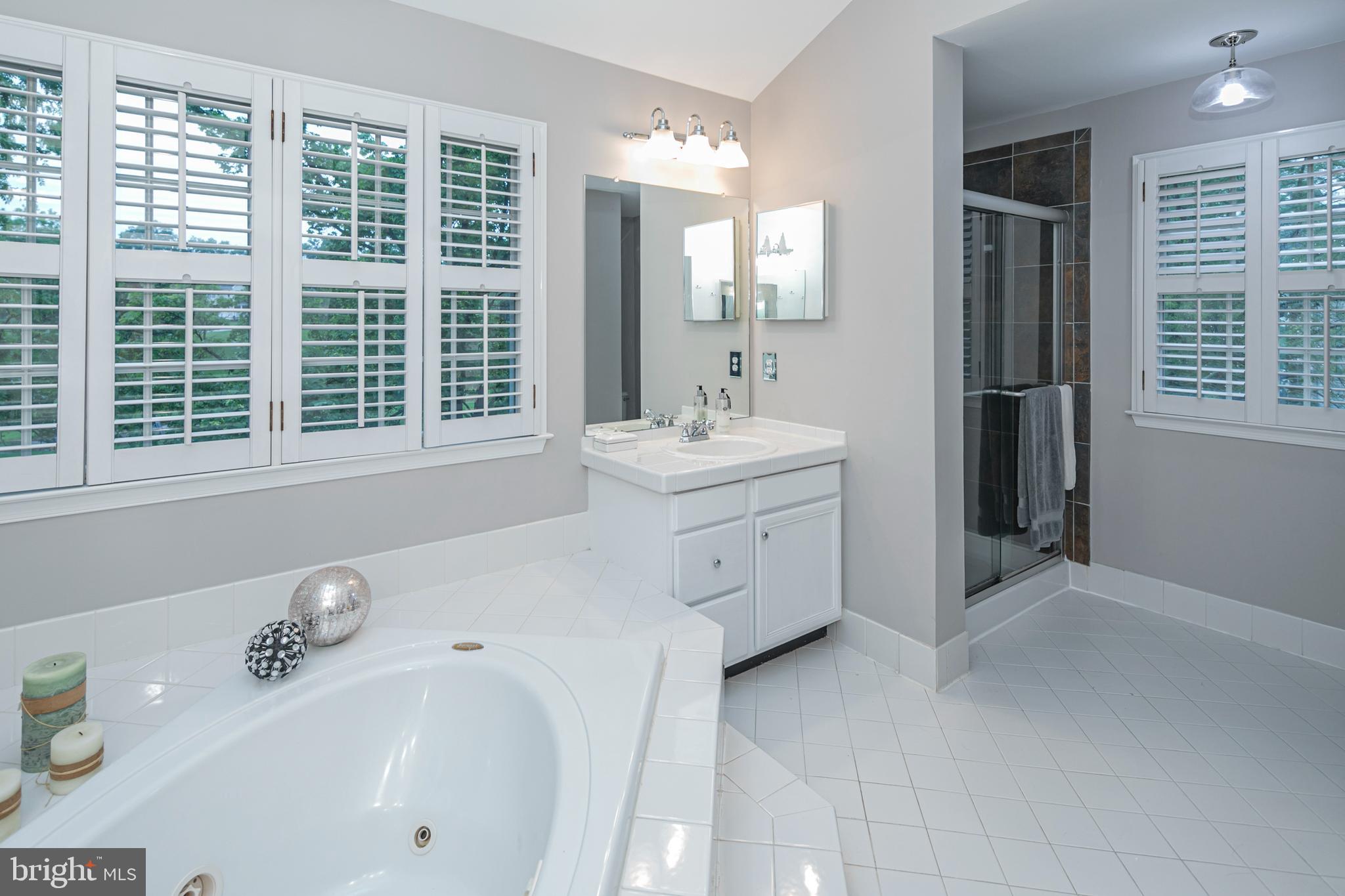 173 Christopher Drive Princeton, NJ 08540 - Photo 33 of 61 a bathroom with a tub sink and mirror