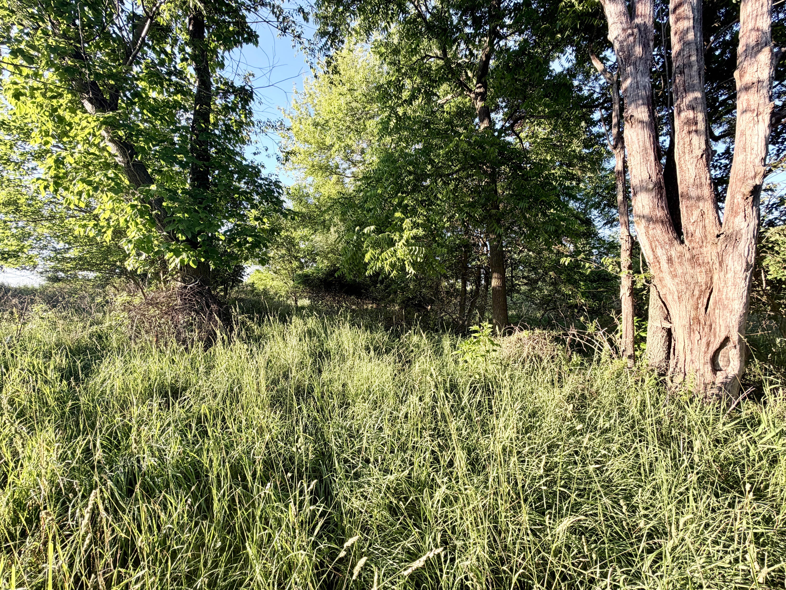 8375 South Stoney Lake Road Jackson, MI 49201 - Photo 63 of 101 Jackson 111.84-053