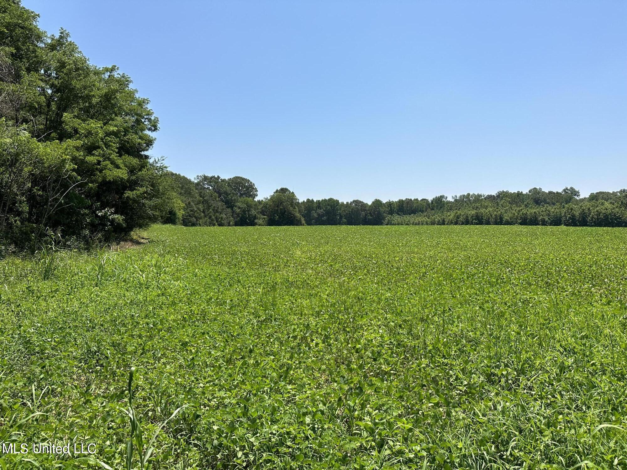 3 Springridge Road Raymond, MS 39154 - Photo 7 of 12 Field