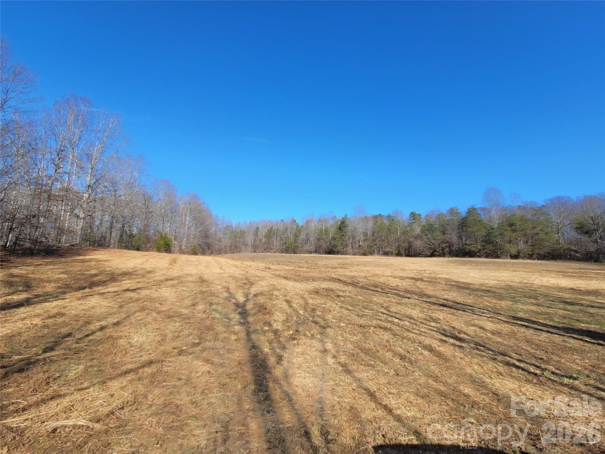 0 Bill Collins Road Columbus, NC 28722 - Photo 11 of 14