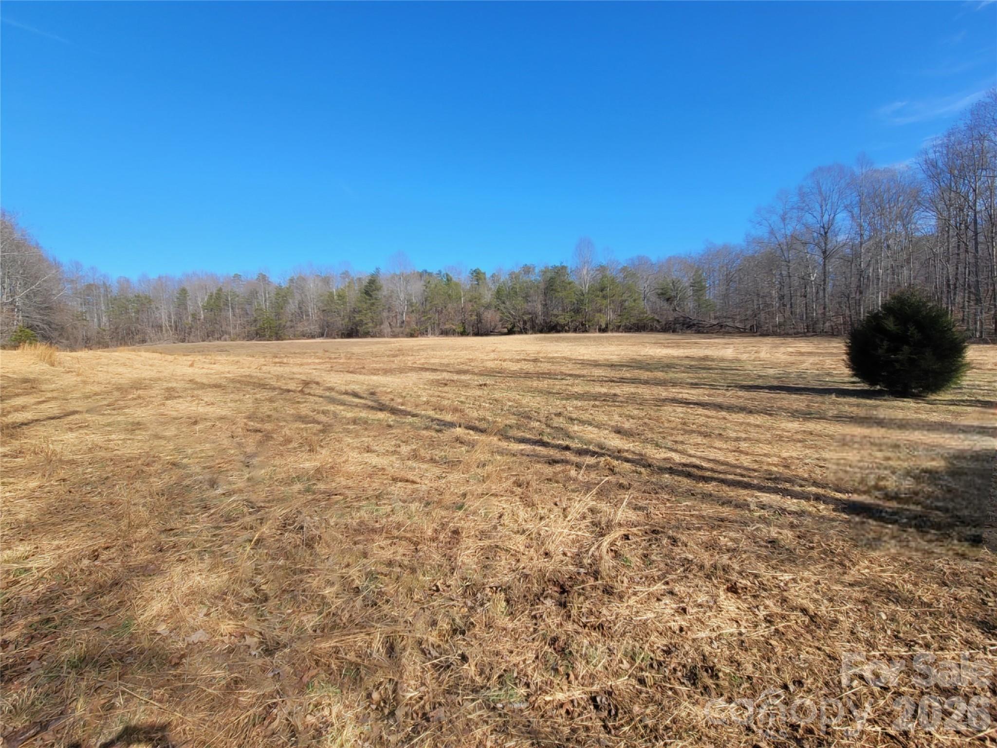 0 Bill Collins Road Columbus, NC 28722 - Photo 13 of 14