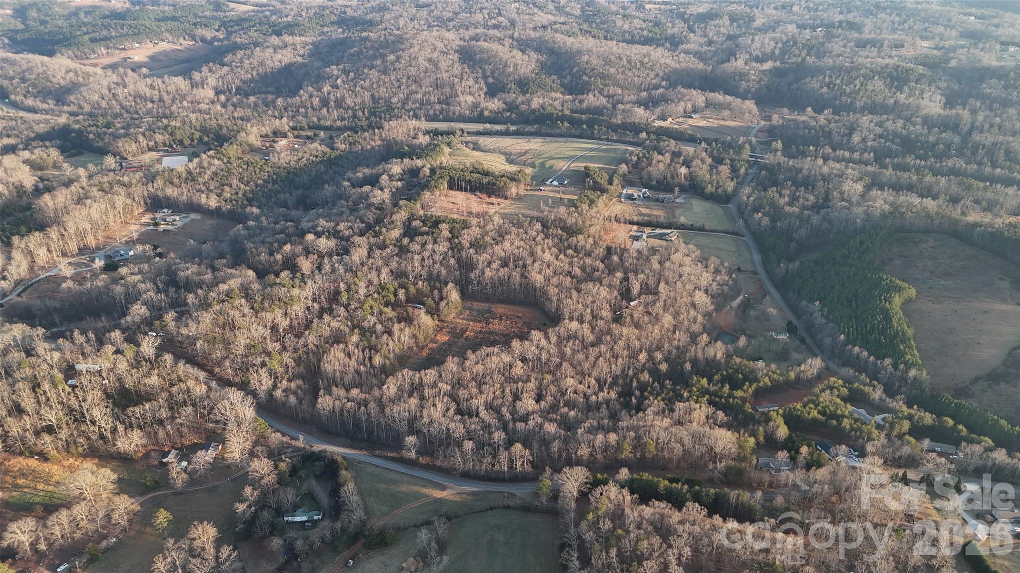 0 Bill Collins Road Columbus, NC 28722 - Photo 5 of 14