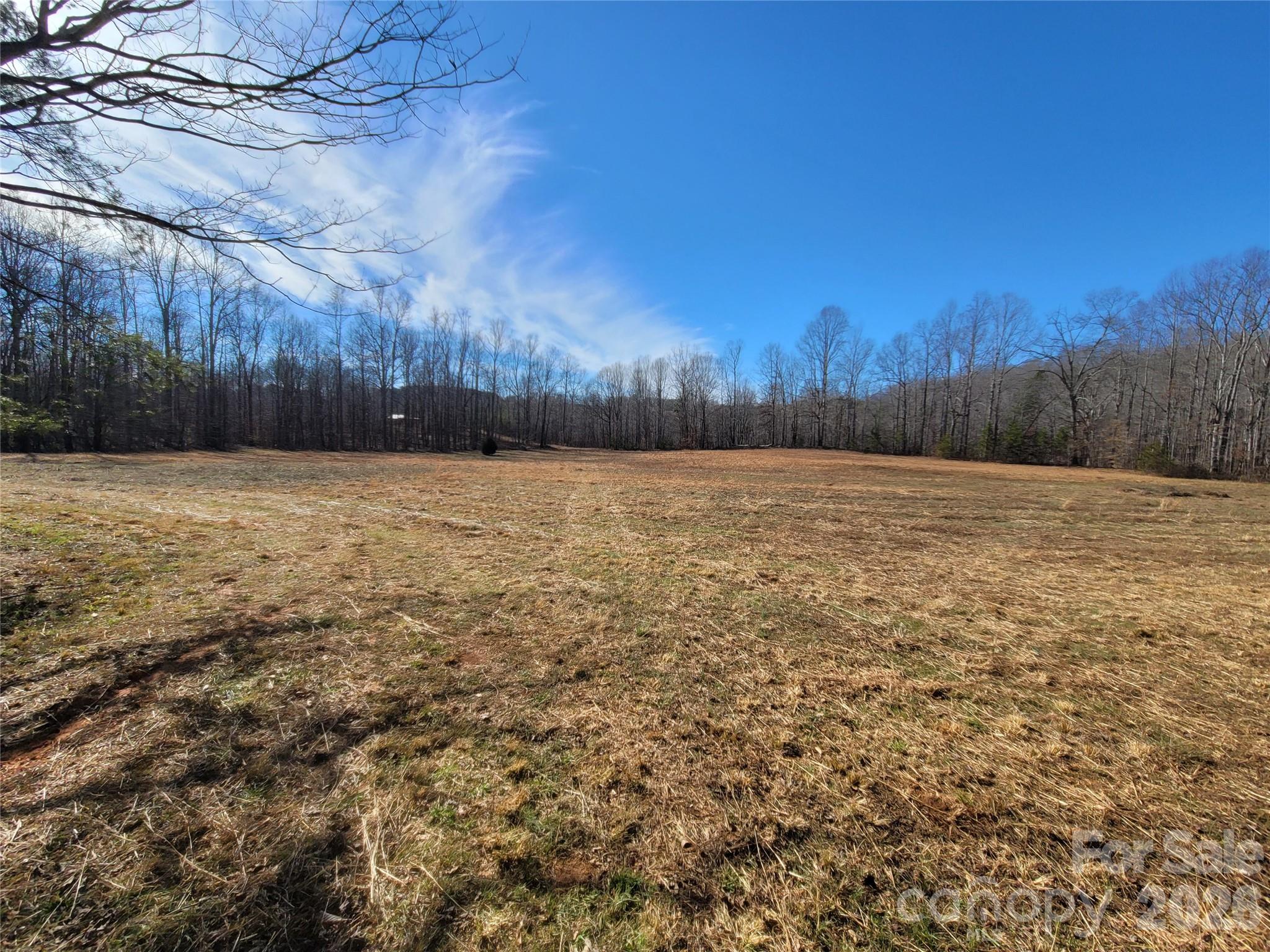 0 Bill Collins Road Columbus, NC 28722 - Photo 10 of 14