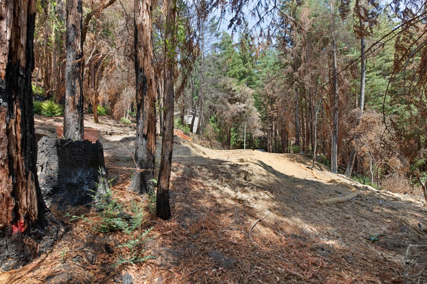 565 Locksley Road Boulder Creek, CA 95006 - Photo 6 of 17 Gallery Image 6