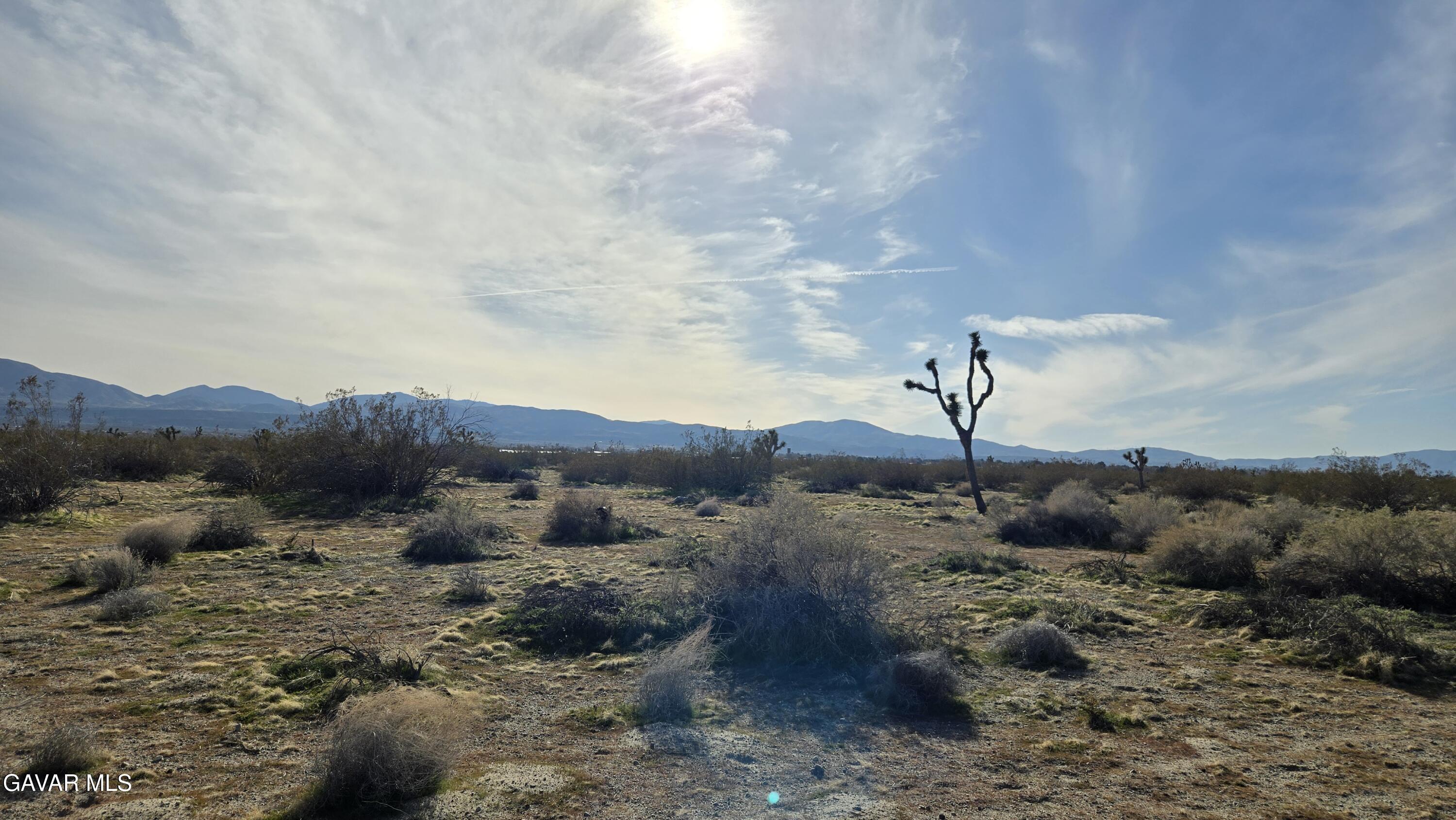 115th Street South Littlerock, CA 93543 - Photo 12 of 22 20260128_145035