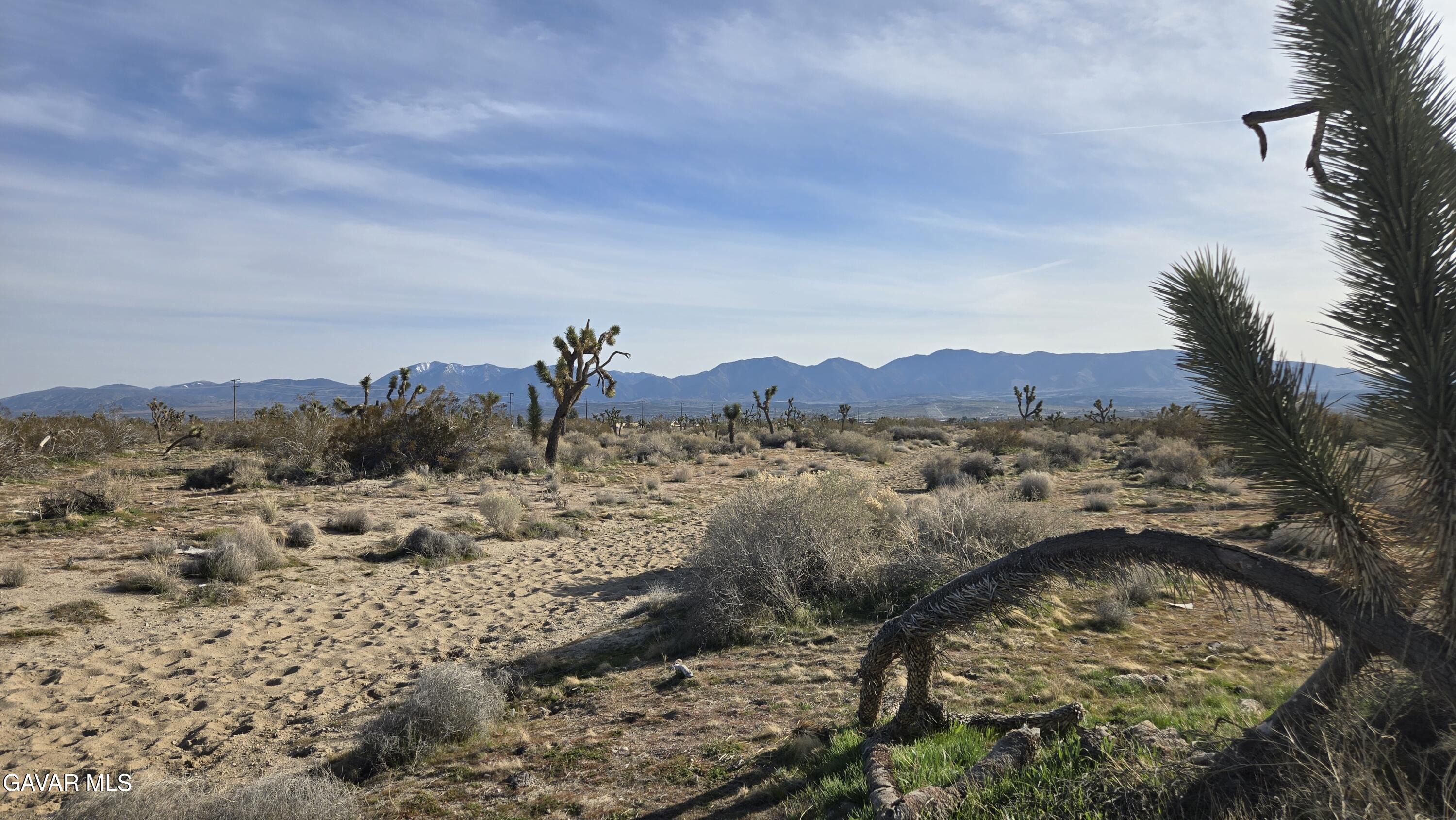 115th Street South Littlerock, CA 93543 - Photo 15 of 22 20260128_145320