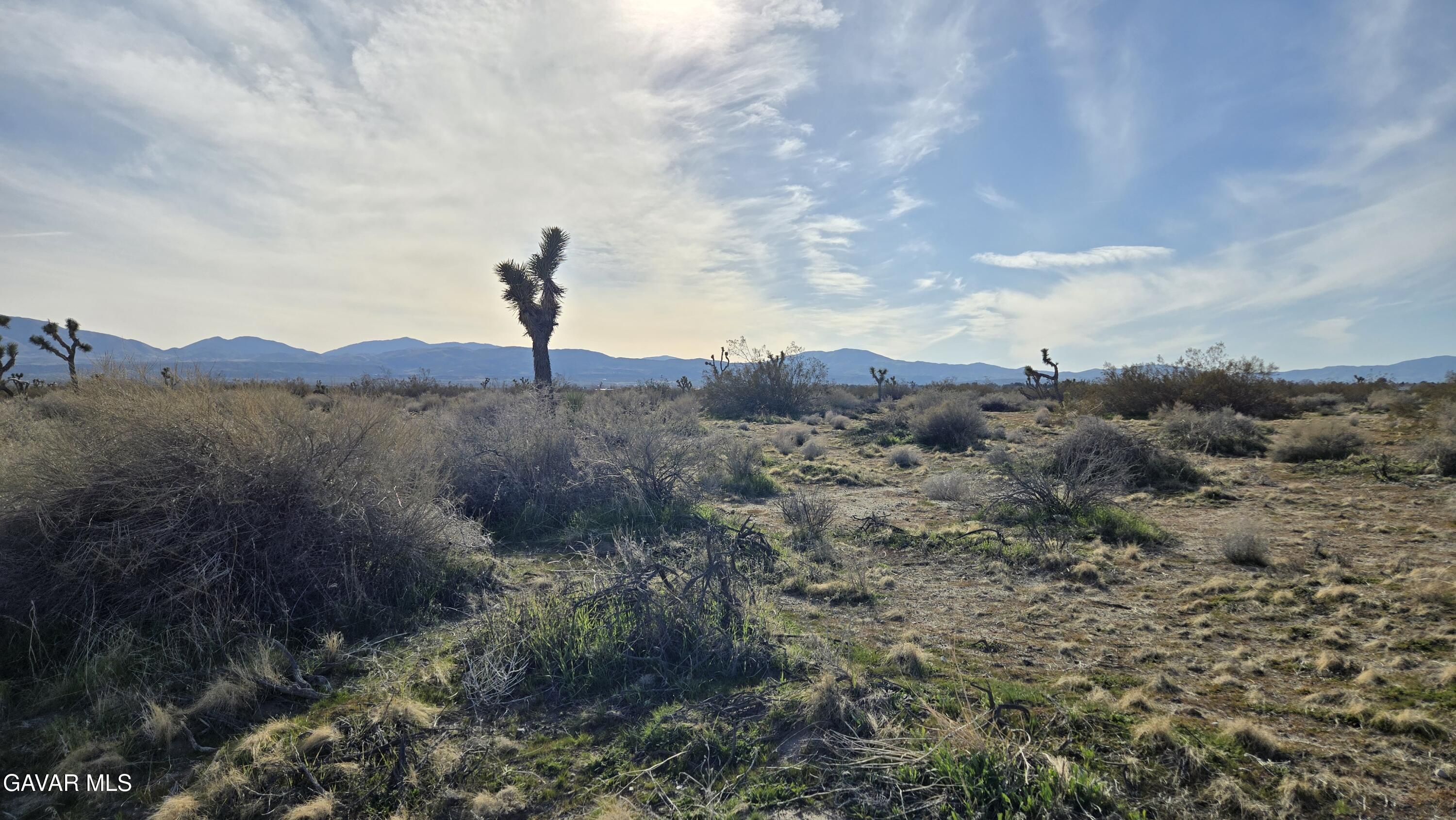 115th Street South Littlerock, CA 93543 - Photo 2 of 22 20260128_144734