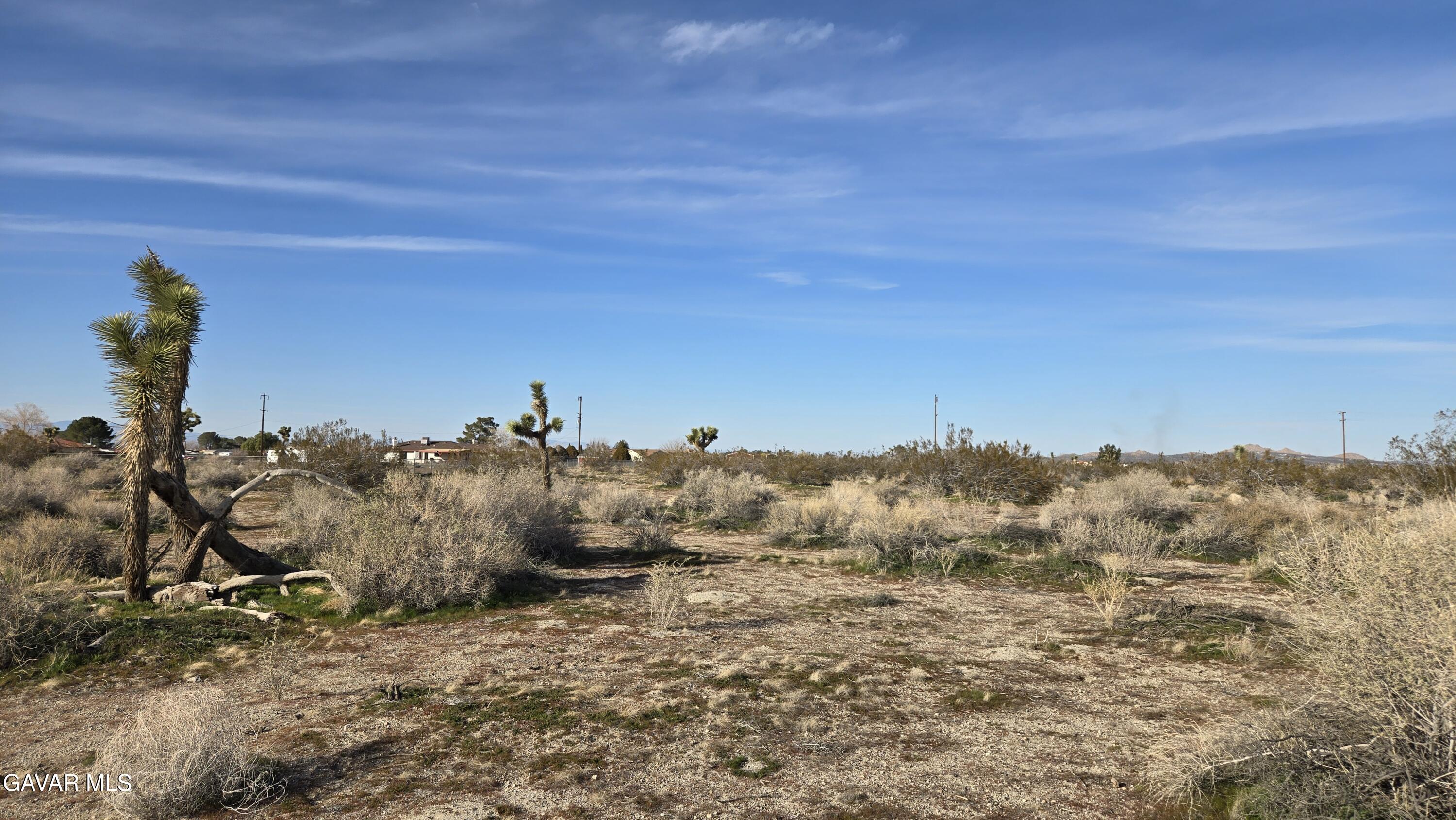 115th Street South Littlerock, CA 93543 - Photo 3 of 22 20260128_145017