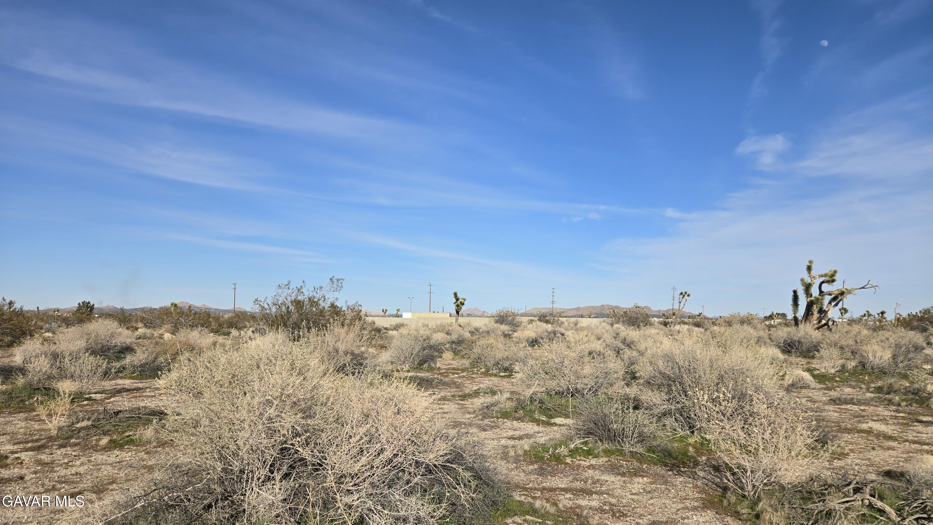 115th Street South Littlerock, CA 93543 - Photo 5 of 22 20260128_145022