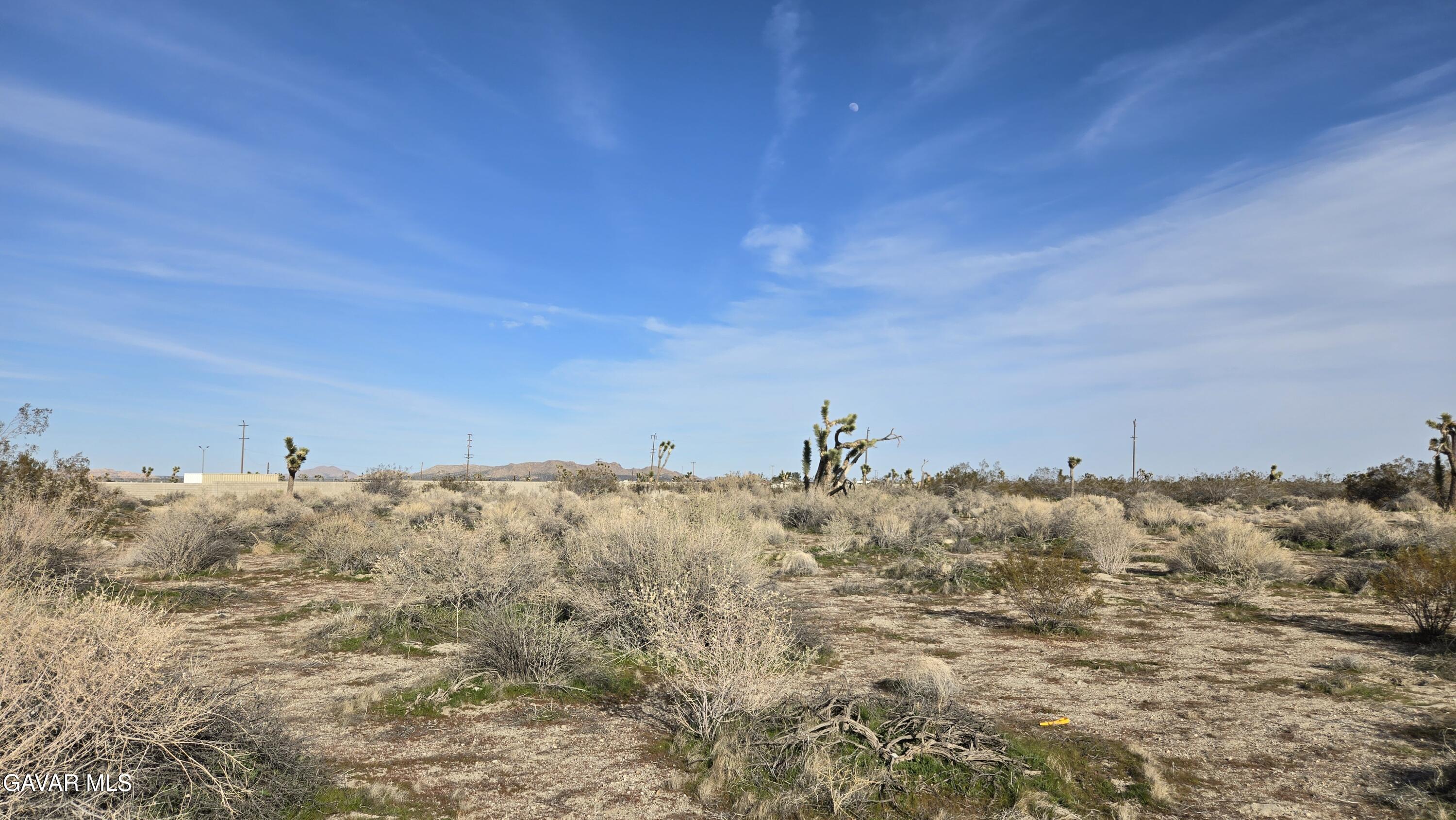 115th Street South Littlerock, CA 93543 - Photo 6 of 22 20260128_145024