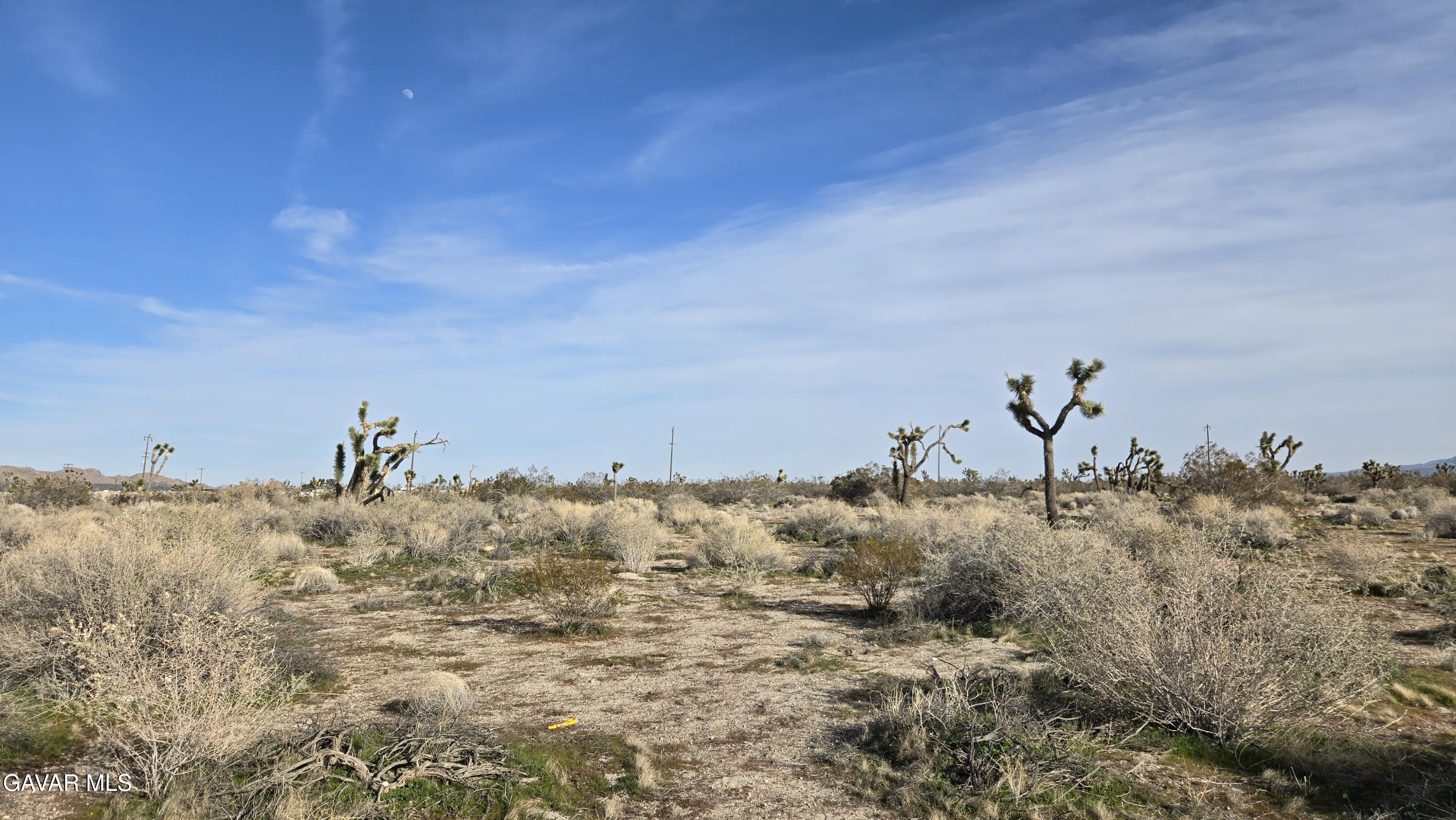 115th Street South Littlerock, CA 93543 - Photo 7 of 22 20260128_145026