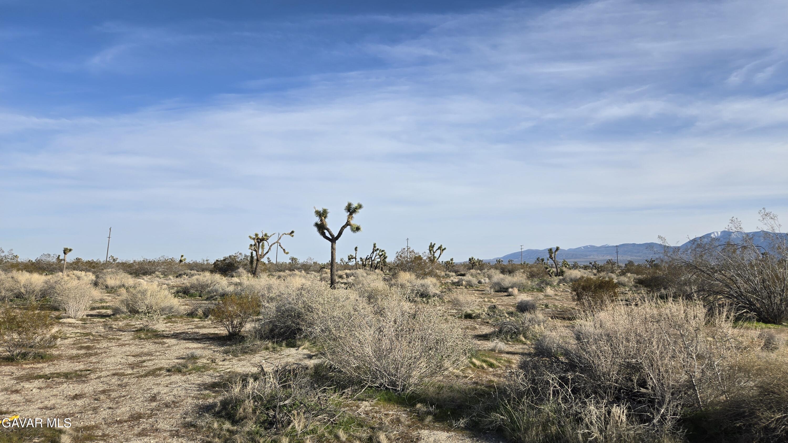 115th Street South Littlerock, CA 93543 - Photo 8 of 22 20260128_145027